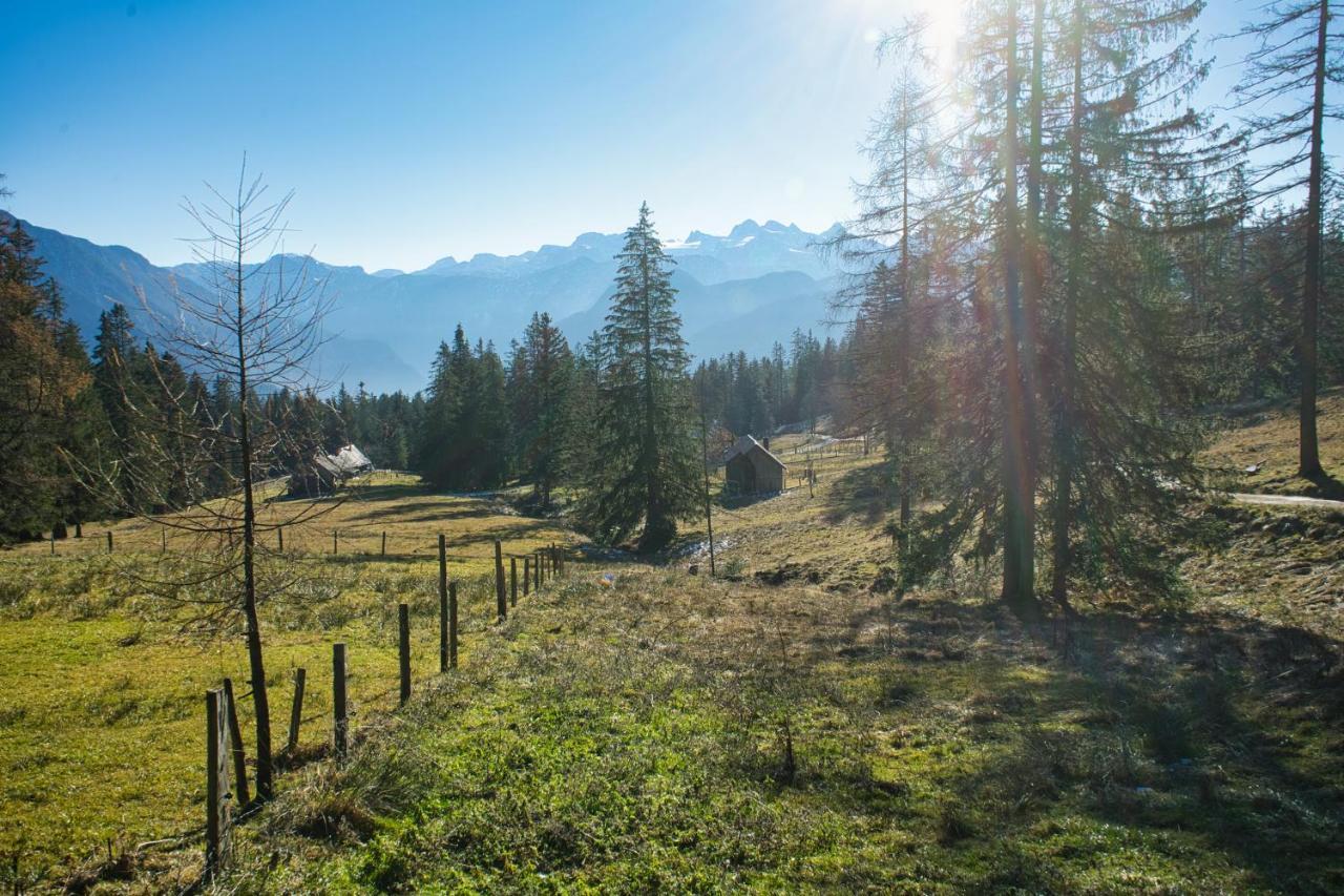 Ferienwohnung Stoablick - Barrierefrei Mit Bergblick Bad Goisern Exteriér fotografie
